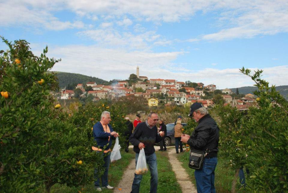 Villa Danica Vid Esterno foto